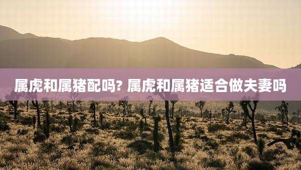 属虎和属猪配吗? 属虎和属猪适合做夫妻吗