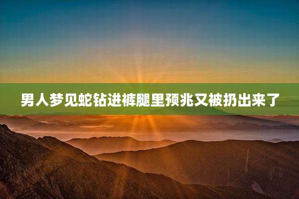 男人梦见蛇钻进裤腿里预兆又被扔出来了