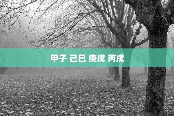 甲子 己巳 庚戌 丙戌