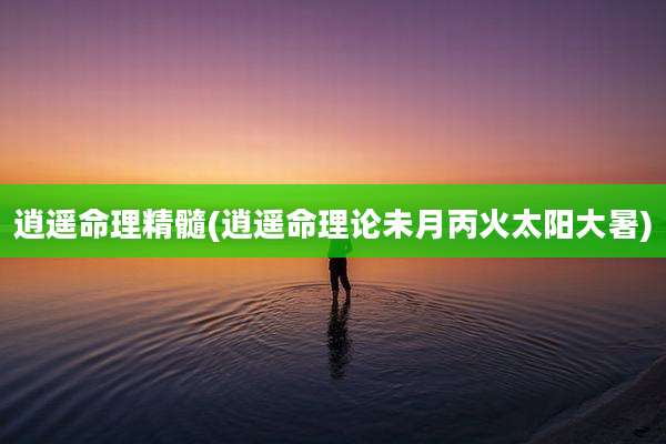 逍遥命理精髓(逍遥命理论未月丙火太阳大暑)