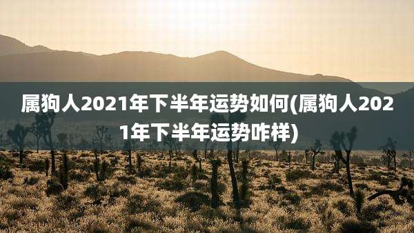 属狗人2021年下半年运势如何(属狗人2021年下半年运势咋样)
