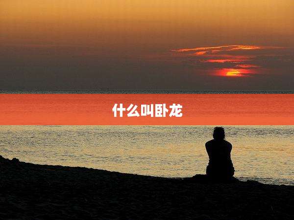 什么叫卧龙