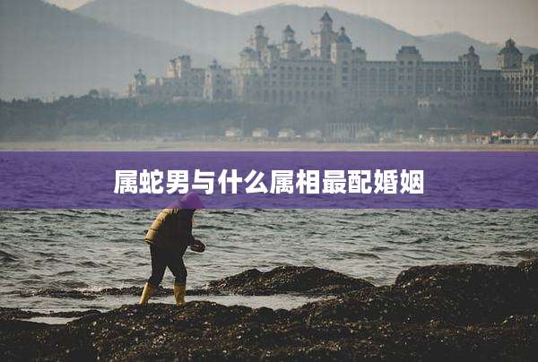 属蛇男与什么属相最配婚姻