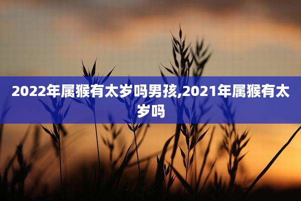 2022年属猴有太岁吗男孩,2021年属猴有太岁吗
