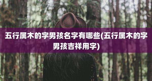 五行属木的字男孩名字有哪些(五行属木的字男孩吉祥用字)