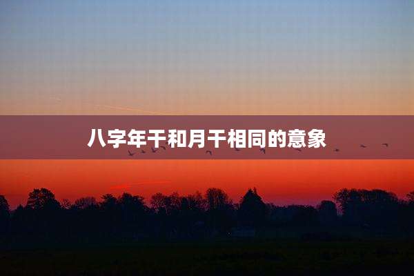 八字年干和月干相同的意象