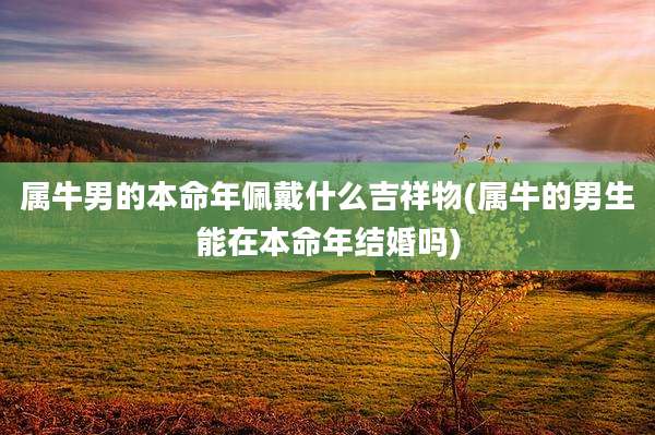 属牛男的本命年佩戴什么吉祥物(属牛的男生能在本命年结婚吗)