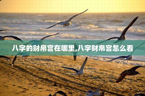 八字的财帛宫在哪里,八字财帛宫怎么看