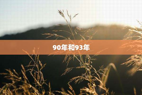 90年和93年
