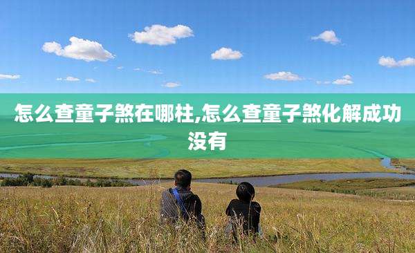 怎么查童子煞在哪柱,怎么查童子煞化解成功没有