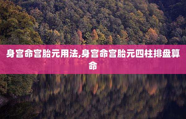 身宫命宫胎元用法,身宫命宫胎元四柱排盘算命