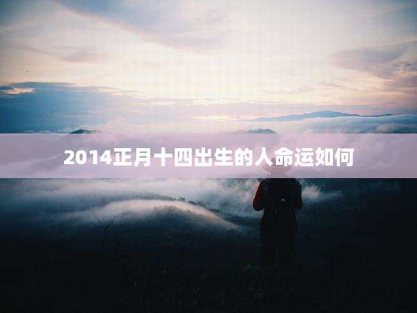 2014正月十四出生的人命运如何