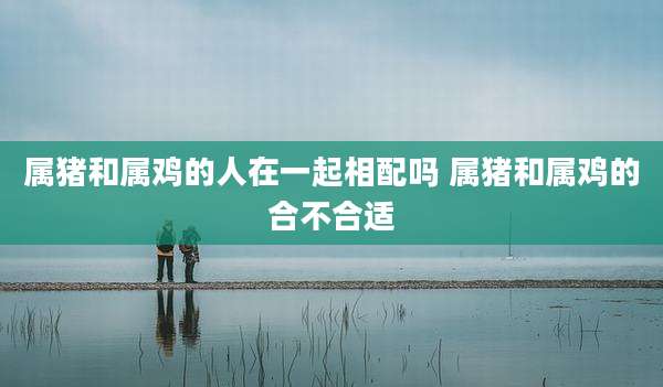属猪和属鸡的人在一起相配吗 属猪和属鸡的合不合适