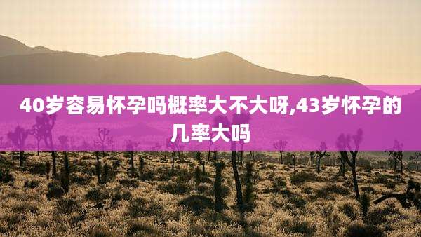 40岁容易怀孕吗概率大不大呀,43岁怀孕的几率大吗