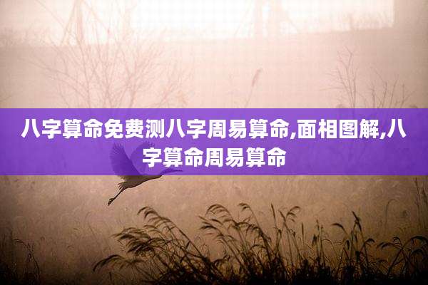八字算命免费测八字周易算命,面相图解,八字算命周易算命