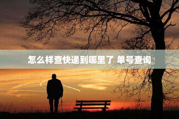 怎么样查快递到哪里了 单号查询