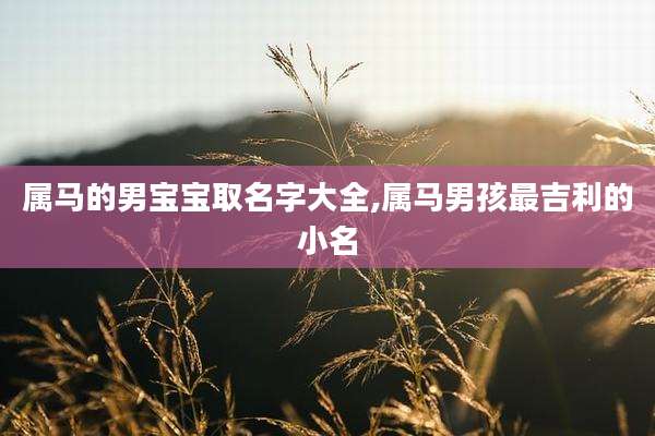 属马的男宝宝取名字大全,属马男孩最吉利的小名