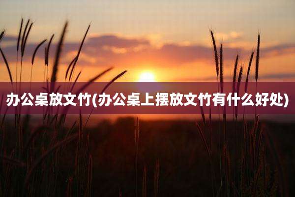 办公桌放文竹(办公桌上摆放文竹有什么好处)
