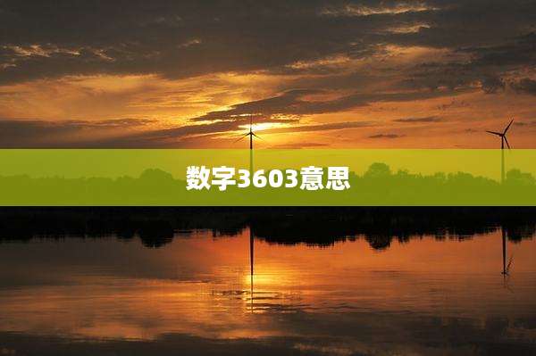 数字3603意思