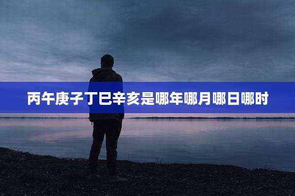 丙午庚子丁巳辛亥是哪年哪月哪日哪时