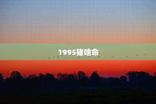 1995猪啥命