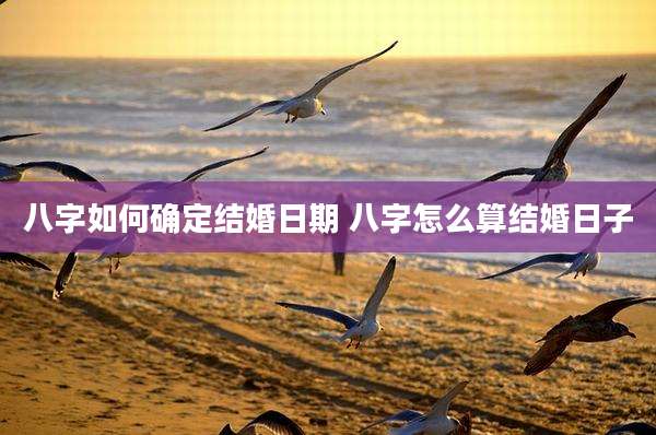 八字如何确定结婚日期 八字怎么算结婚日子