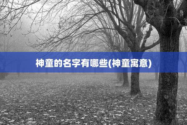 神童的名字有哪些(神童寓意)