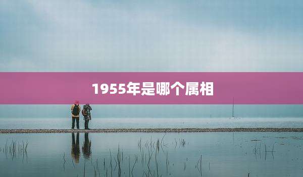 1955年是哪个属相
