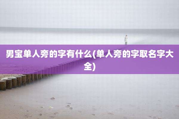 男宝单人旁的字有什么(单人旁的字取名字大全)