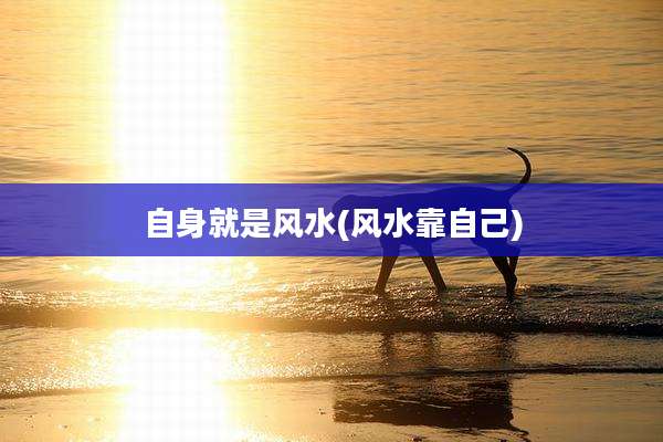 自身就是风水(风水靠自己)