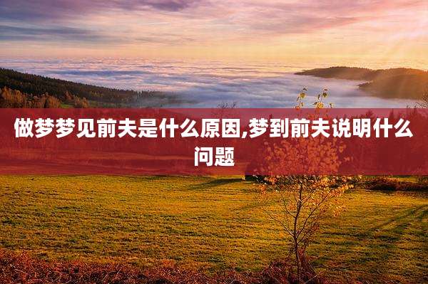 做梦梦见前夫是什么原因,梦到前夫说明什么问题