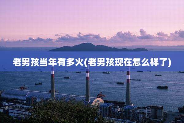 老男孩当年有多火(老男孩现在怎么样了)