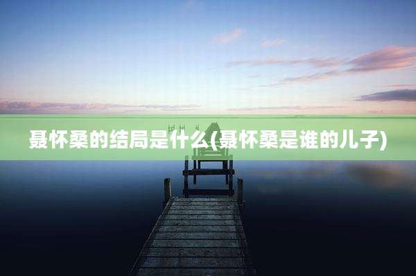聂怀桑的结局是什么(聂怀桑是谁的儿子)
