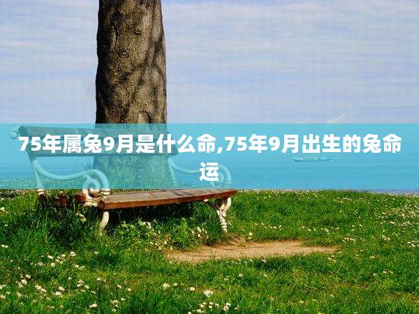 75年属兔9月是什么命,75年9月出生的兔命运