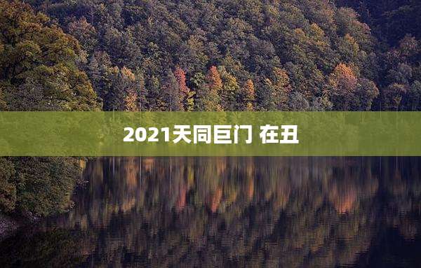 2021天同巨门 在丑