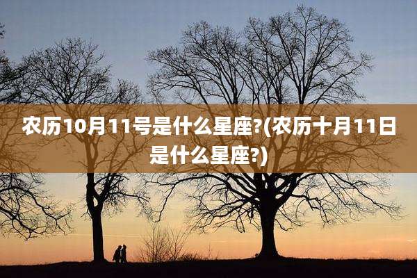 农历10月11号是什么星座?(农历十月11日是什么星座?)