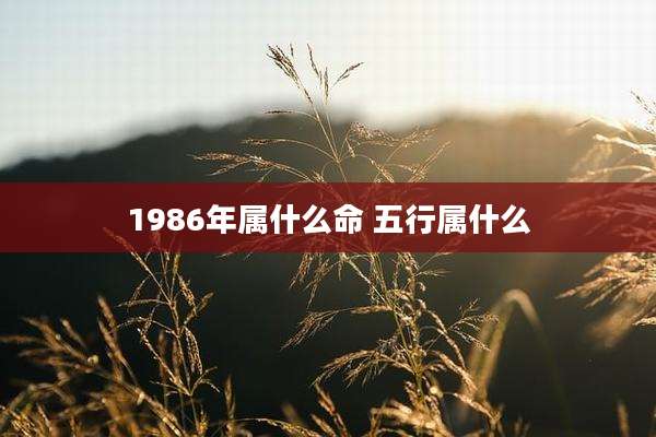 1986年属什么命 五行属什么