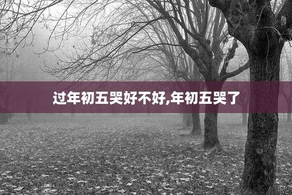 过年初五哭好不好,年初五哭了
