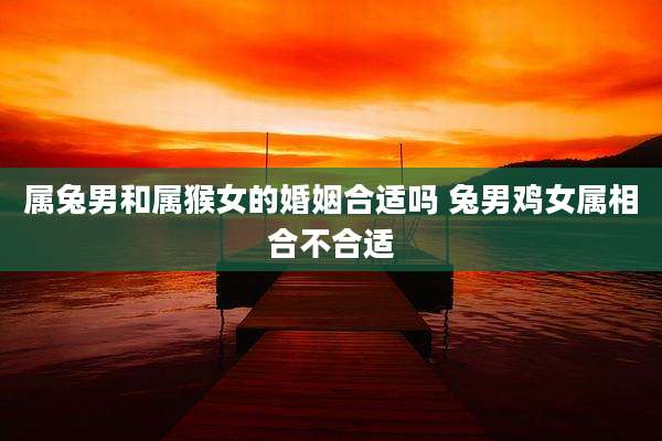属兔男和属猴女的婚姻合适吗 兔男鸡女属相合不合适