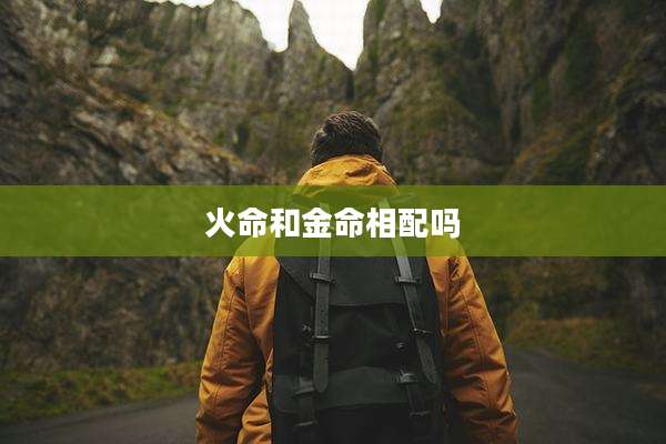 火命和金命相配吗