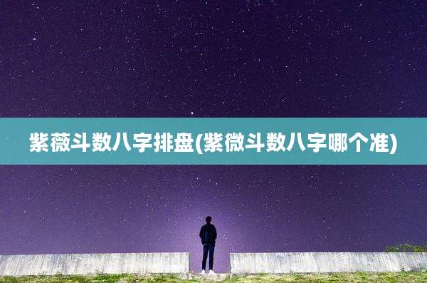 紫薇斗数八字排盘(紫微斗数八字哪个准)