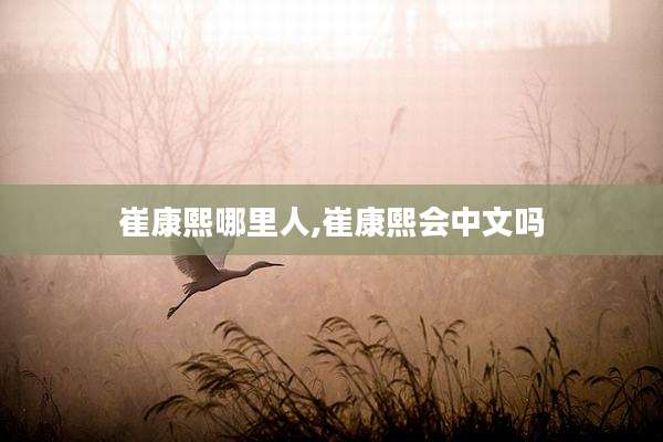 崔康熙哪里人,崔康熙会中文吗