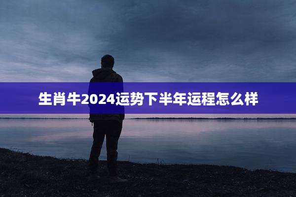 生肖牛2024运势下半年运程怎么样