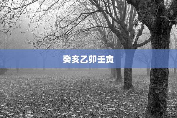 癸亥乙卯壬寅