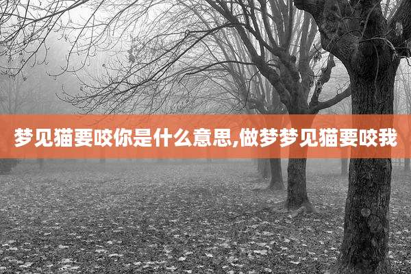 梦见猫要咬你是什么意思,做梦梦见猫要咬我
