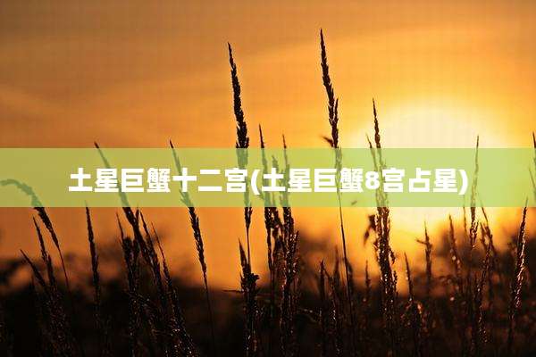土星巨蟹十二宫(土星巨蟹8宫占星)