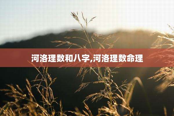 河洛理数和八字,河洛理数命理