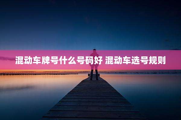 混动车牌号什么号码好 混动车选号规则