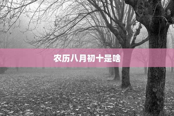 农历八月初十是啥