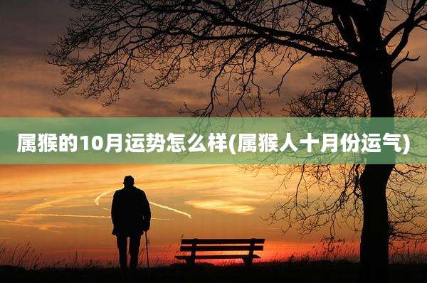 属猴的10月运势怎么样(属猴人十月份运气)